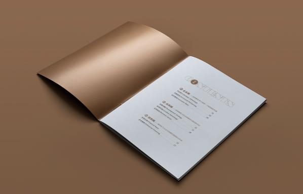 上海公司畫(huà)冊(cè)印刷配合企業(yè)的品牌營(yíng)銷  第2張