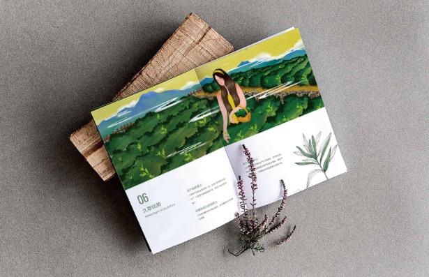 產品畫冊  第7張